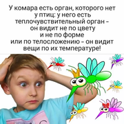https://i.postimg.cc/QKTHMWbY/040.png