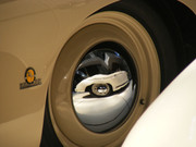 [Image: DSCF3917.jpg]