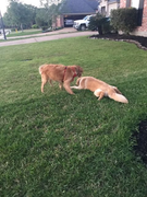 image_2023-02-02_231537457