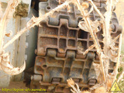 DSCN6574