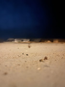 IMG-7418
