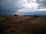 IMG_20210314_153807_3