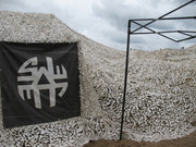 Teknival BG. 2017 (108)