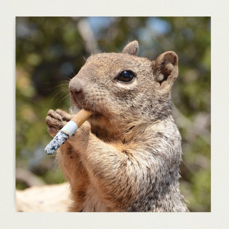 Screenshot_20250612-002225