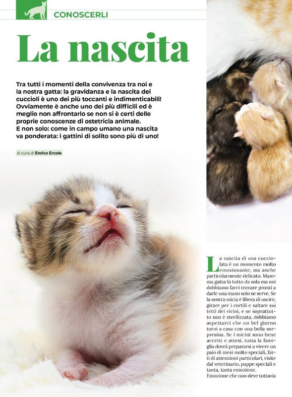 Ga Ma Ago-Set 2023 (11)