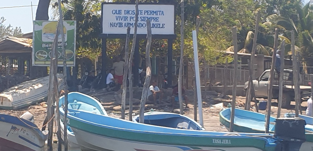 bukele