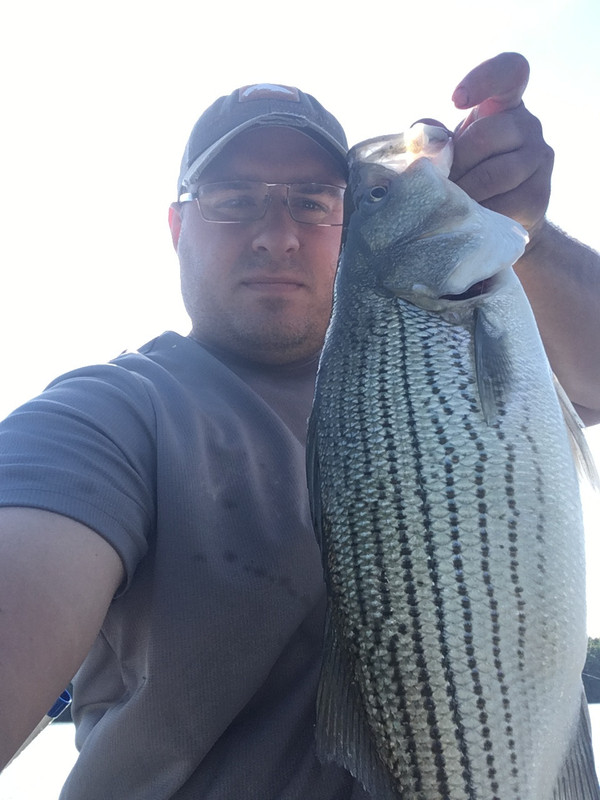 C8673433-4362-4CED-9959-C3523CBCAF9D