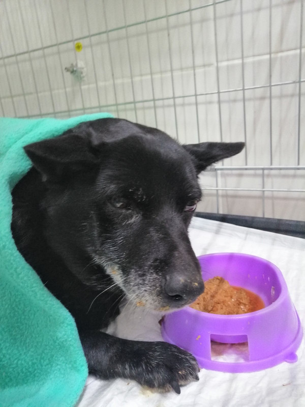 7C80B8BF-8978-43BE-A77B-AAA3CF00F101