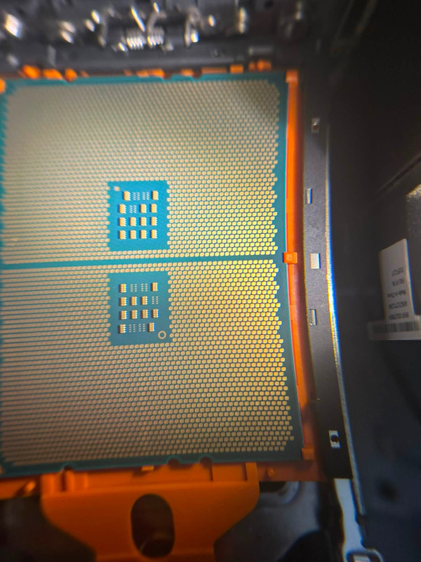 733328590 1726524288356507 143802844709164069 n