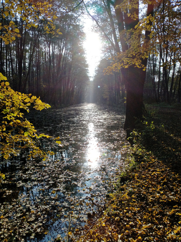 006 - IMG20201028140948