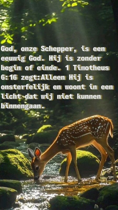 e42