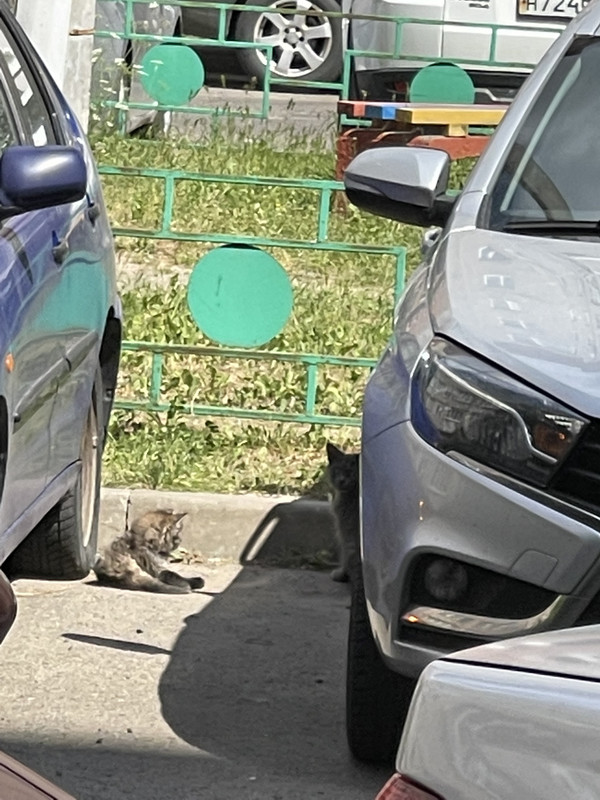 E124C004-DB31-4D8D-979E-63B6F31AF312