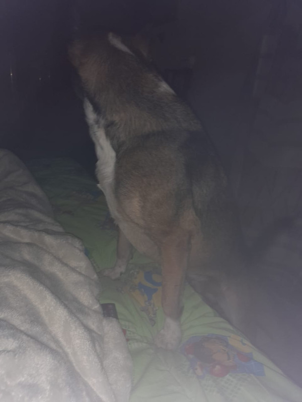 A0075C1B-EEFA-4322-B35D-4436FAD599C5