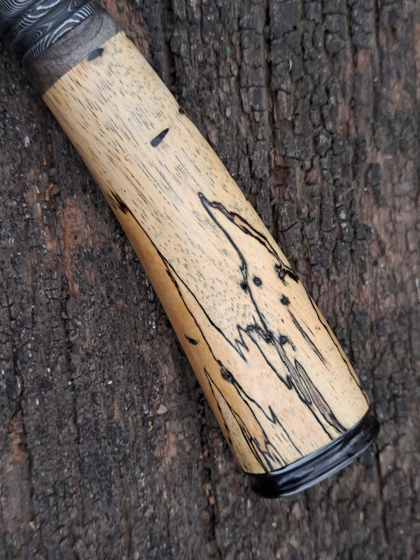 WhatsApp Image 2022-07-06 at 6.05.01 PM (1)