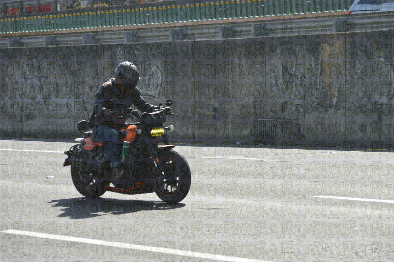 DSC 0351