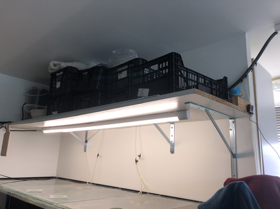 rrNY2HoSR064ev8yUZ81hw