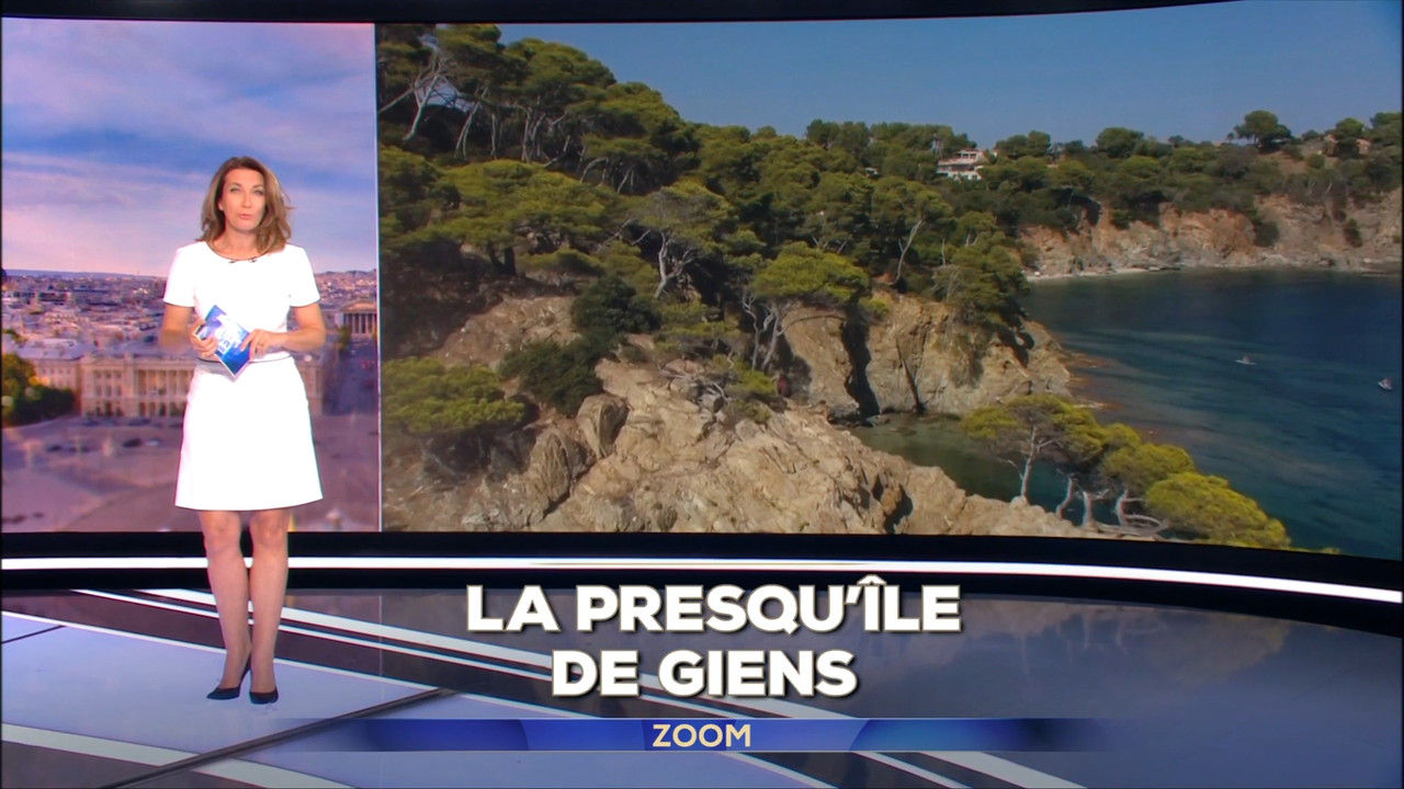 2020-11-15_13_00_TF1_Le-13h.mp4_snapshot_00.04.53.509