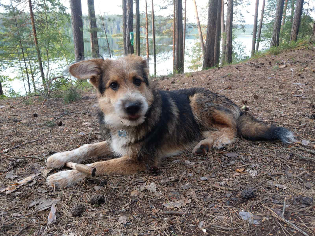 изображение_viber_2020-06-11_20-50-48