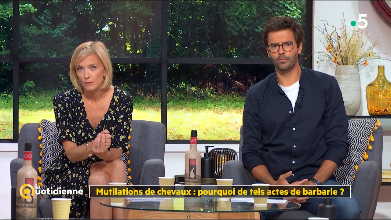 2020-09-09_11_45_Fr5_La-quotidienne.mp4_snapshot_00.15.44.447