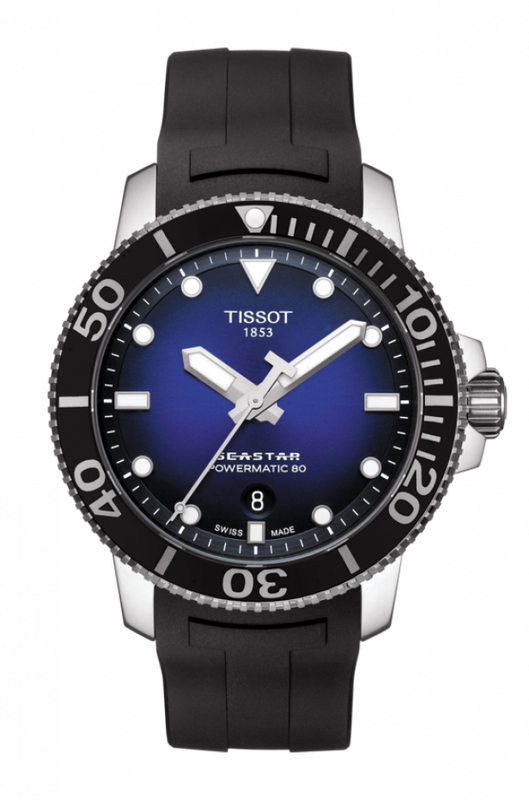 T120.407.17.041.00