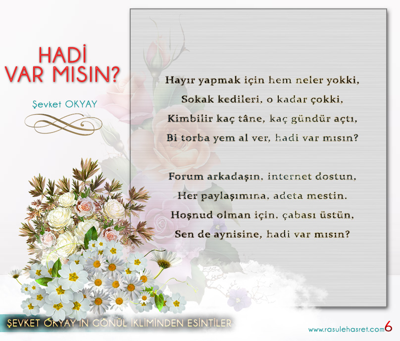 Hadi Varmısın ?