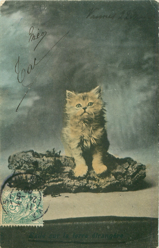 17-2011-06-14-10-06-56