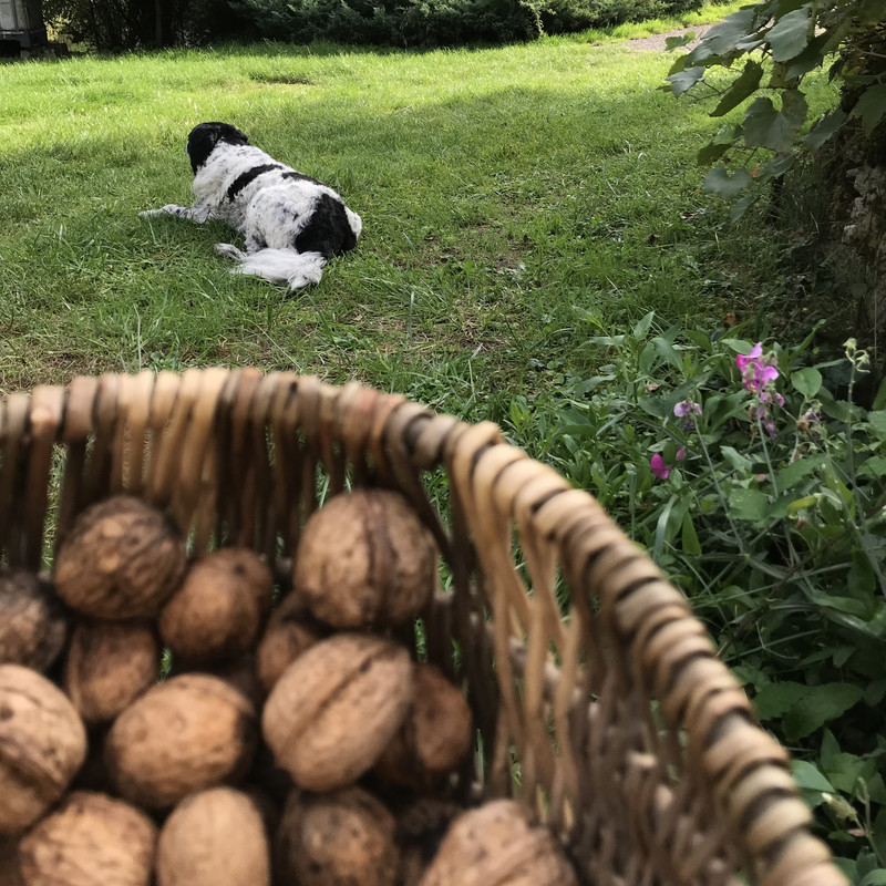 474E07D5-97D4-4AE3-8E41-D05DA73C6634