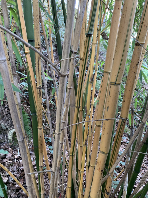 173A0AF9-30D6-4D04-B22B-4C1C5DB98CA0