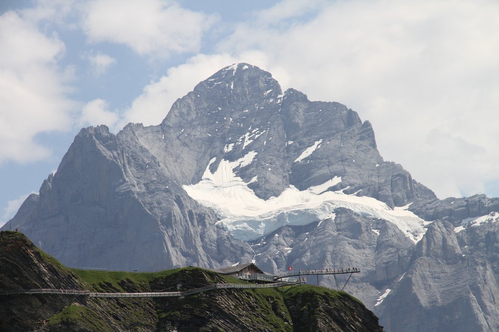 50 sombras del verde en Suiza y Alemania - Blogs de Suiza - SUBIDA AL FIRST- LAGO BACHALPSEE- BAJADA EN TROTIBIKE (2)