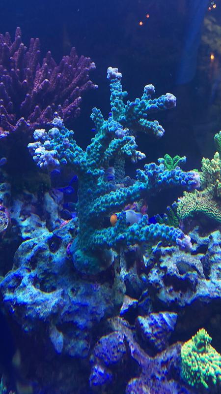 189A1619-F7EB-42FF-B4D1-361F68B90518