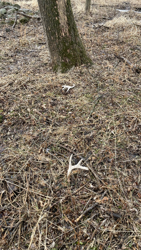 81AD2302-645A-452C-8FEC-E8C4092FD261