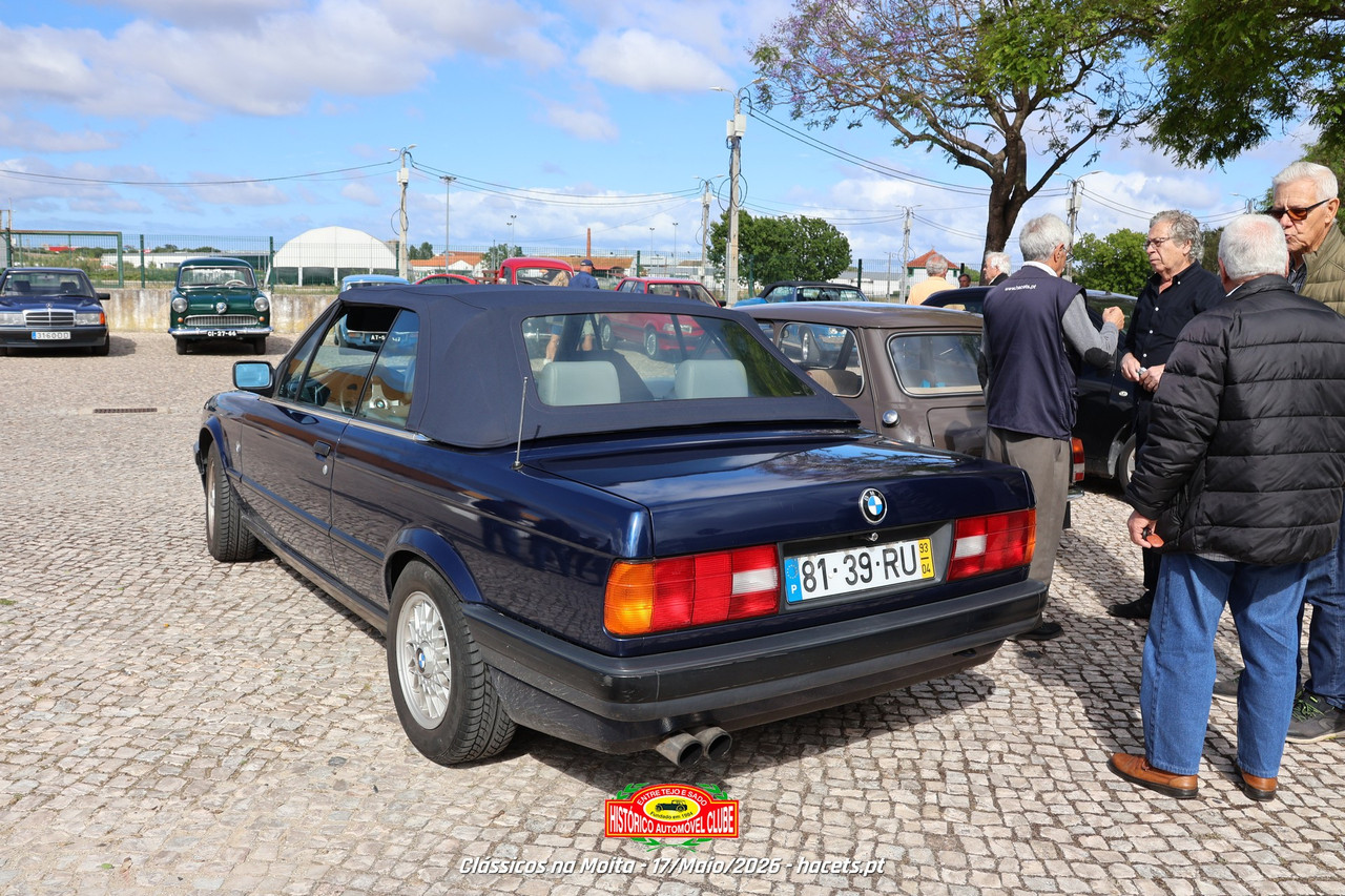 IMG 6562