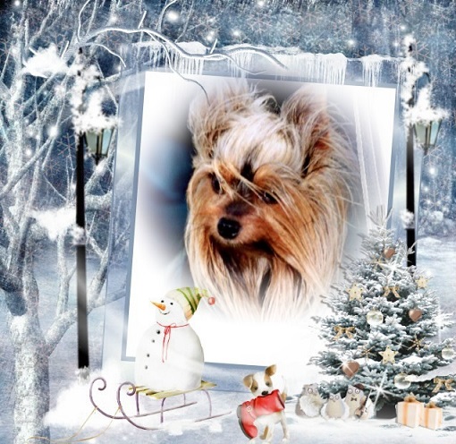 pixiz 23 12 2025 18 12 19