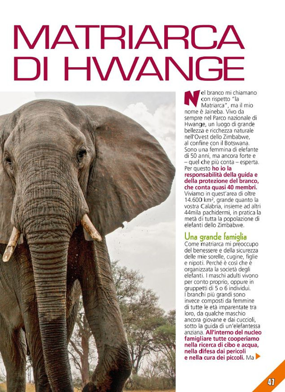 Foc Wil - Dic 2023 (8)