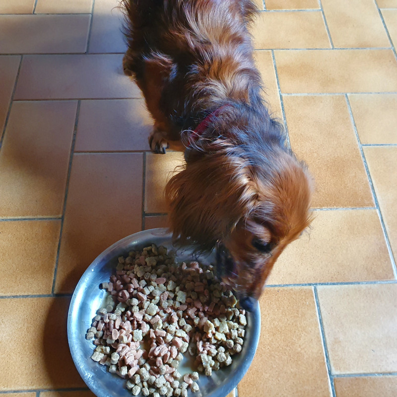 [Image: 20210518-101945.jpg]