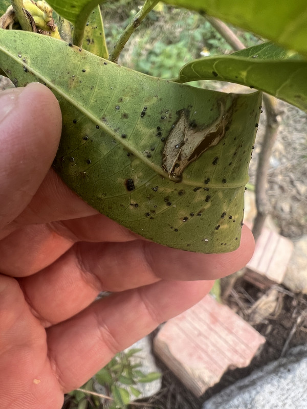 580321AC-70BA-4A6F-952D-C4532A4FA59E