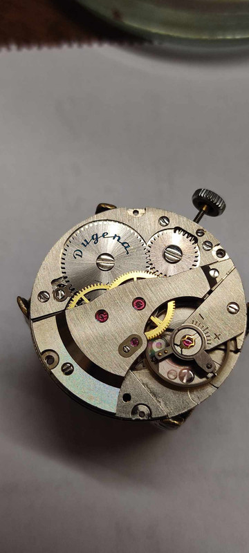 393464242_6732959296784607_7221671456210820747_n (1)