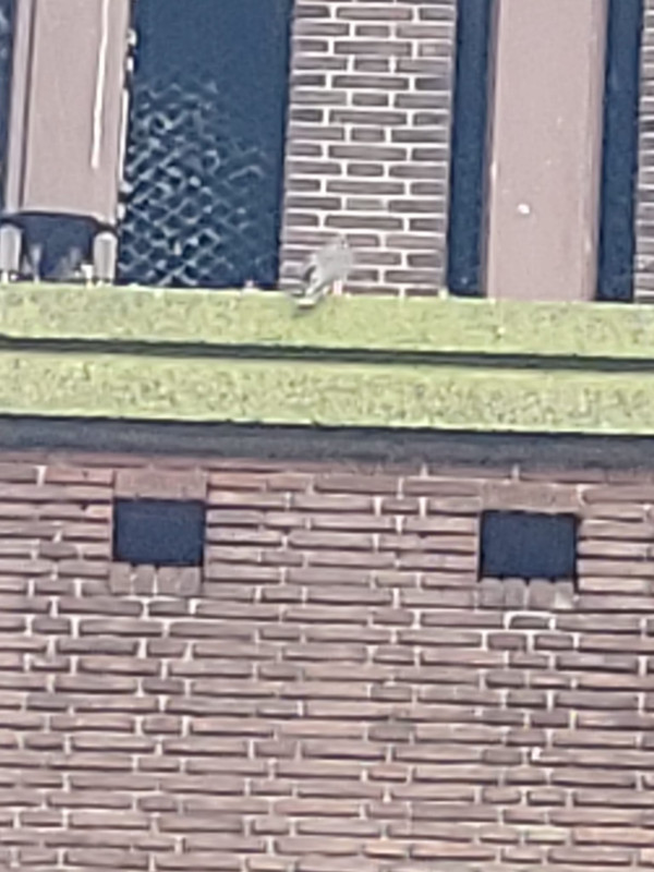 Den Haag/Bethlehemkerk - Pagina 3 4