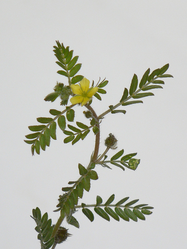 P1140340-0... (1024)