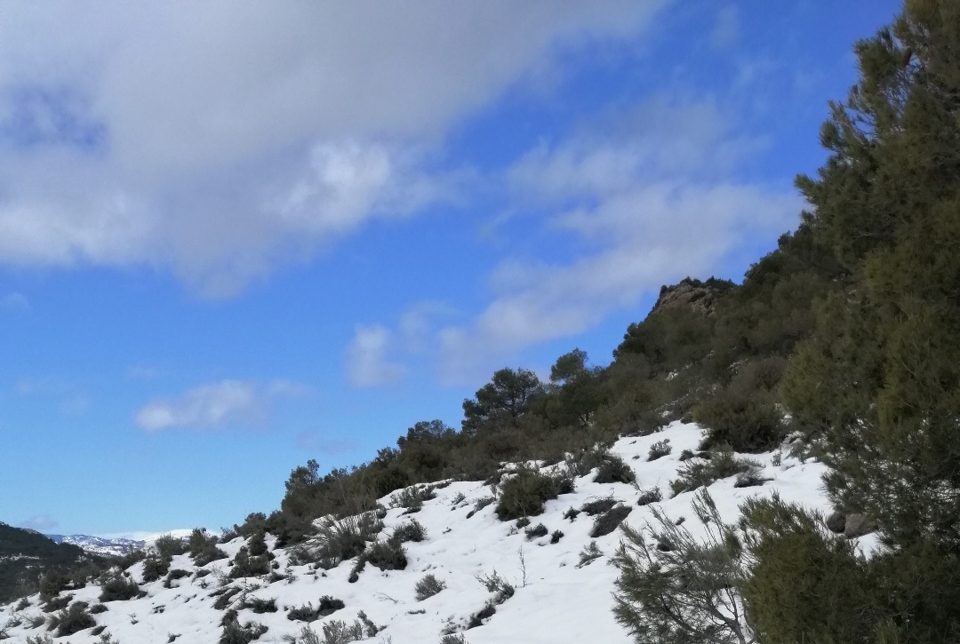 IMG_20200126_121147 ew