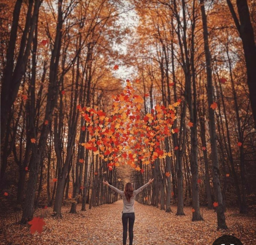 Screenshot_20230307_010010_Pinterest