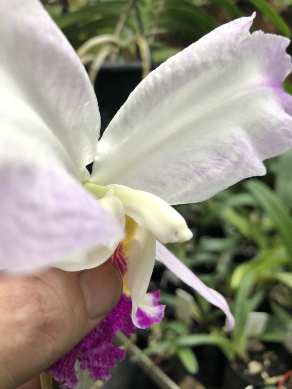 20221209_000019482_iOS