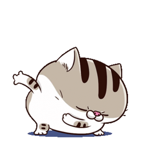 ami fat cat air guitar ezgif com gif maker