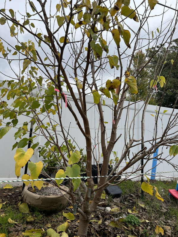 B6CB5894-B464-4230-9225-A09421FF7055