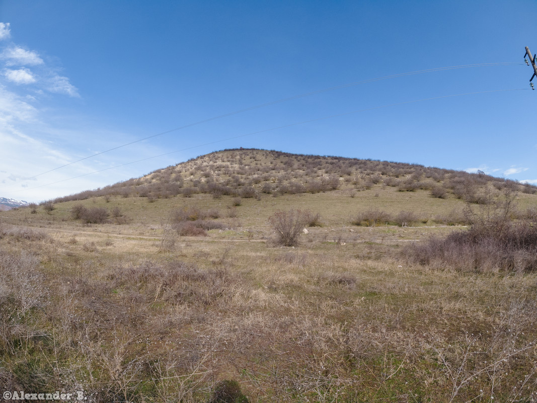 DJI_0937