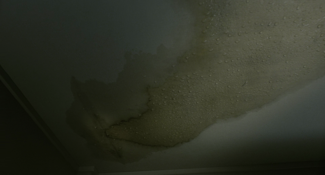 vlcsnap-2023-02-06-11h01m30s052