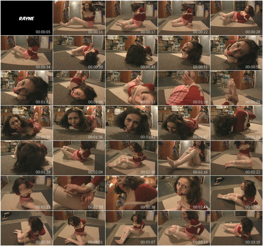 0817BD.wmv
