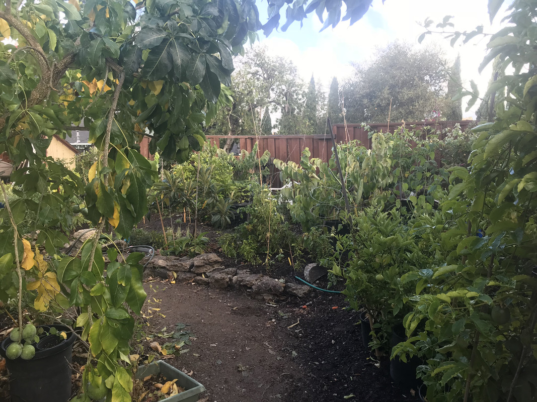 8E3034B6-97AD-4783-BEB8-33E20A44ED36