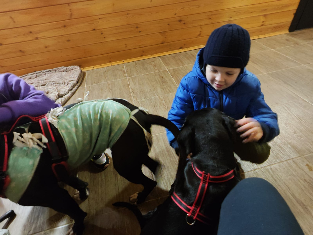 73522A91-AC1D-40BF-A10A-070AEF775ACF