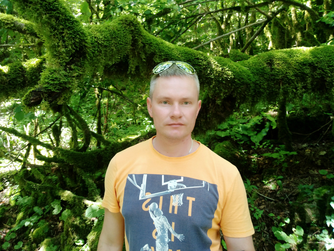 Лицо зелень